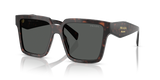 Root Tortoise / Dark Grey (17N40L)