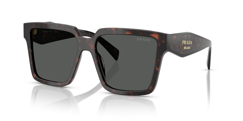 Prada PR 24ZS in Root Tortoise / Dark Grey (17N40L) - Alternate View