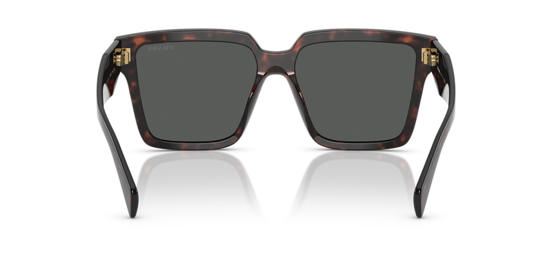 Prada PR 24ZS in Root Tortoise / Dark Grey (17N40L) - Alternate View