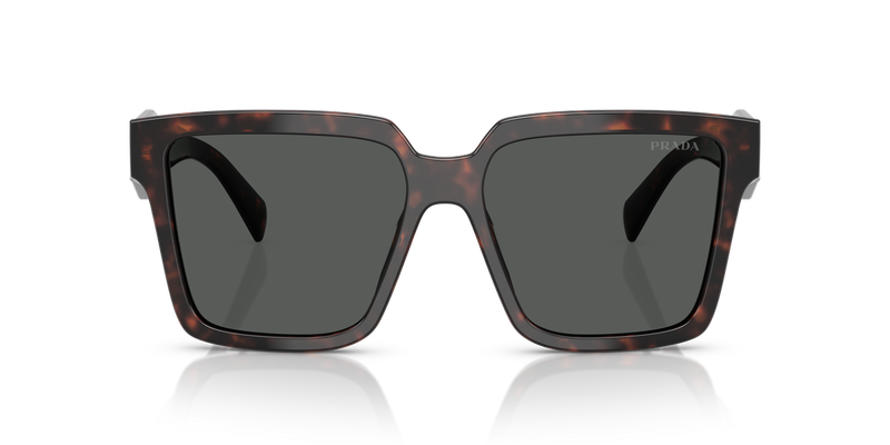 Prada PR 24ZS in Root Tortoise / Dark Grey (17N40L) - Alternate View
