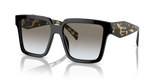 Black / Grey Gradient (1AB0A7)
