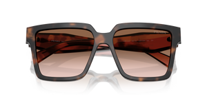 Mauve Tortoise / Brown Gradient (23A0A6)