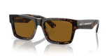 Tortoise / Brown (2AU0B0)
