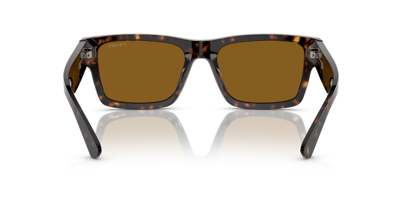 Prada PR 25ZS in Tortoise / Brown (2AU0B0) - Alternate View