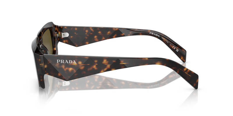 Prada PR 27ZS in Tortoise / Dark Brown (19J09Z) - Alternate View