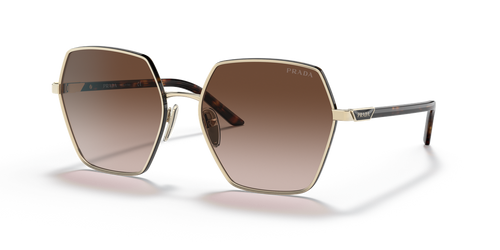 Pale Gold / Brown Gradient (ZVN6S1)