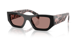 Black / Light Brown (13P60B)