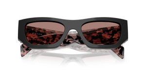 Black / Light Brown (13P60B)