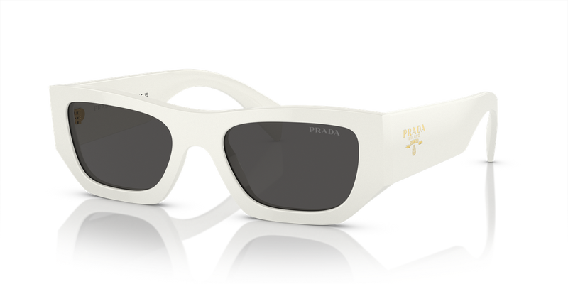 Prada PR A01S in White / Dark Grey (17K08Z) - Alternate View