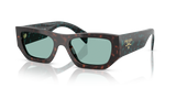 Root Tortoise / Petrol Green (18Z40K)