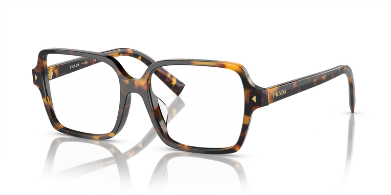 Prada PR A02V in Havana Clear / Demo Lens (VAU1O1) - Alternate View