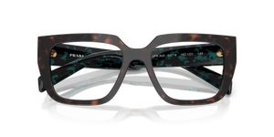 Root Tortoise / Demo Lens (18Z1O1)