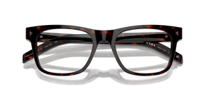 Radica Tortoise / Demo Lens (17N1O1)