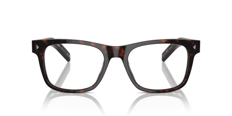 Prada PR A13VF in Radica Tortoise / Demo Lens (17N1O1) - Alternate View