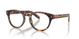 Magma Tortoise / Demo Lens (14O1O1)