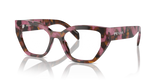 Cognac Begonia Tortoise / Demo Lens (18N1O1)