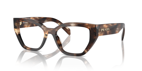Caramel Tortoise / Demo Lens (14P1O1)