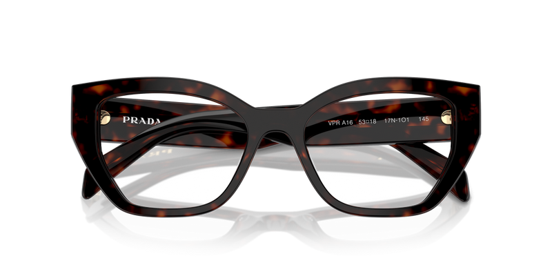 Prada PR A16V in Root Tortoise - Alternate View