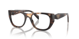 Caramel Tortoise / Demo Lens (14P1O1)