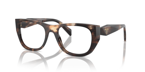 Caramel Tortoise / Demo Lens (14P1O1)