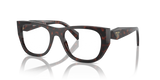 Root Tortoise / Demo Lens (17N1O1)