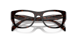 Root Tortoise / Demo Lens (17N1O1)