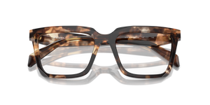 Caramel Tortoise / Demo Lens (14P1O1)