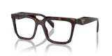 Root Tortoise / Demo Lens (17N1O1)