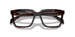 Root Tortoise / Demo Lens (17N1O1)