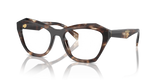 Caramel Tortoise / Demo Lens (14P1O1)