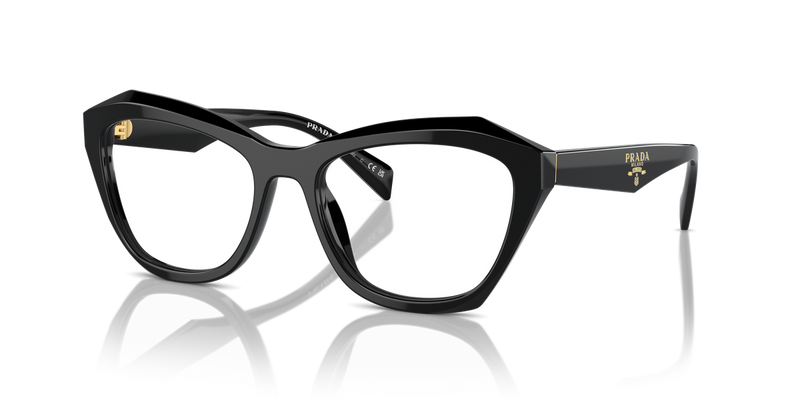 Prada PR A20V in Black - Alternate View