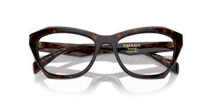 Root Tortoise / Demo Lens (17N1O1)
