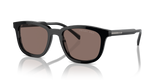 Black / Polarized Brown (16K30H)