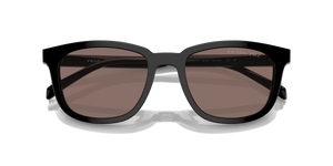 Black / Polarized Brown (16K30H)