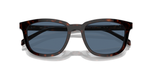 Radica Tortoise / Dark Blue (17N06A)