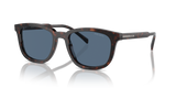 Radica Tortoise / Dark Blue (17N06A)