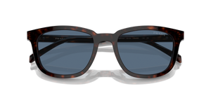 Radica Tortoise / Dark Blue (17N06A)