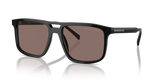 Black / Polarized Brown (16K30H)