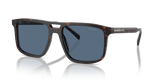 Radica Tortoise / Dark Blue (17N06A)