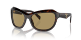Radica Tortoise / Green Olive (17N70G)