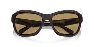 Radica Tortoise / Green Olive (17N70G)
