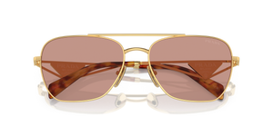 Gold / Dark Violet (5AK08M)