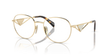 Pale Gold / Demo Lens (ZVN1O1)