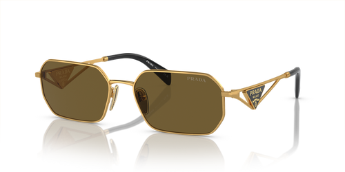 Matte Gold / Dark Brown (15N01T)