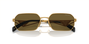 Matte Gold / Dark Brown (15N01T)