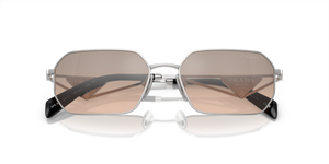 Silver / Brown Mirror Silver Gradient (1BC8J1)