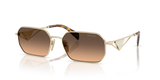 Pale Gold / Brown Gradient Grey (ZVN50C)