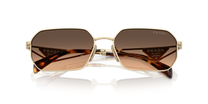 Pale Gold / Brown Gradient Grey (ZVN50C)