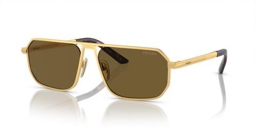 Matte Gold / Dark Brown (1BK01T)