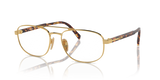 Gold / Demo Lens (5AK1O1)